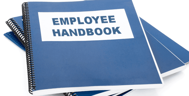 Employee Handbook: A Step By Step Guide To Preparing Your Staff Handbook