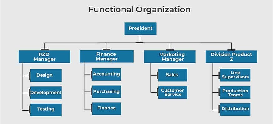 Functional Organizational Structure: Everything You Need To Know