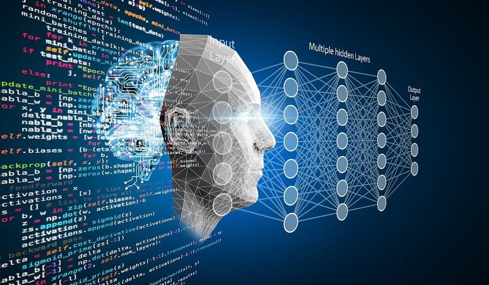 The Development Process: How Deep Learning Companies Turn Data into Actionable AI Models