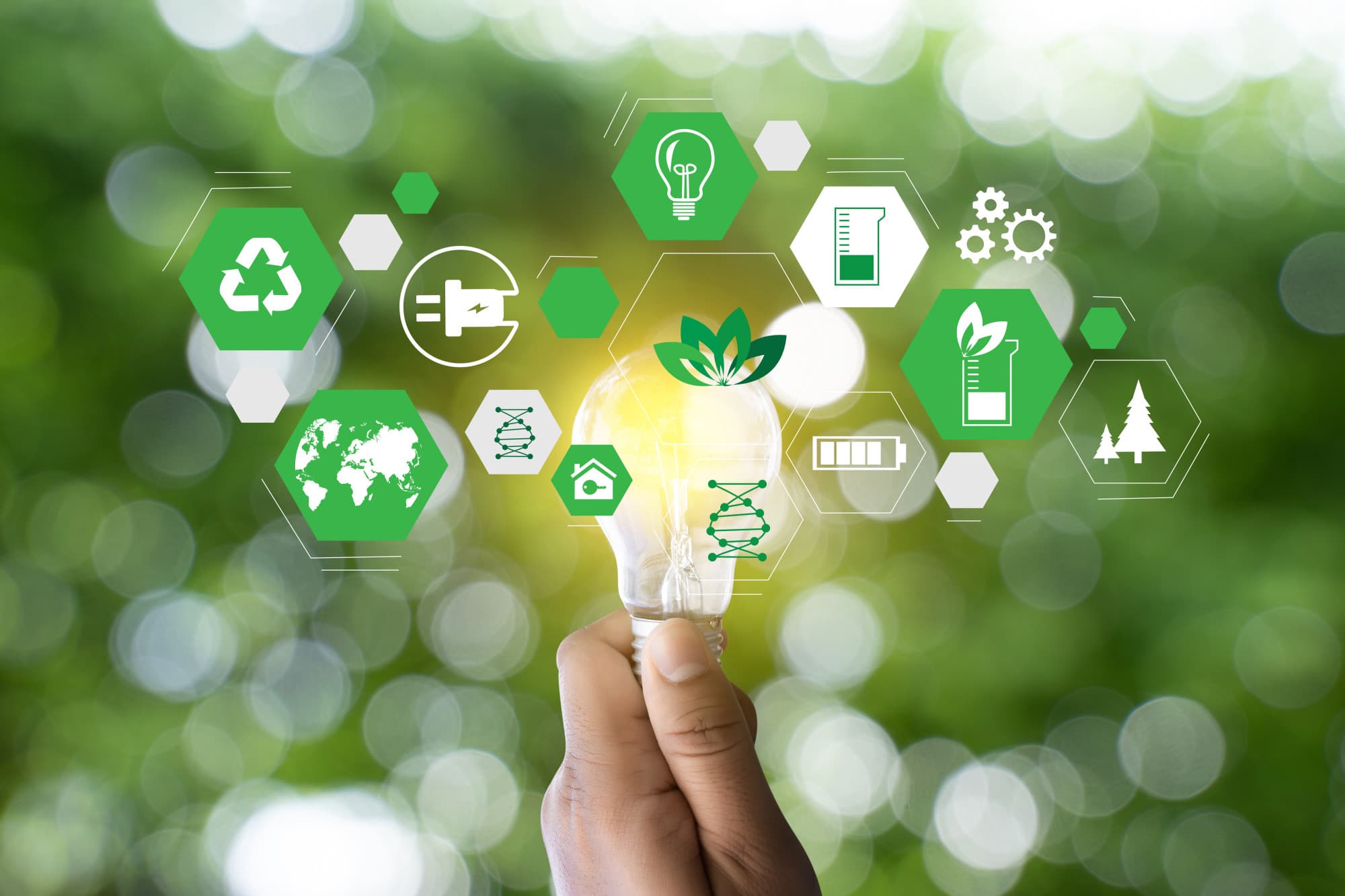 Eco-Friendly Business Strategies: How Power Purchase Agreements Can Reduce Your Carbon Footprint