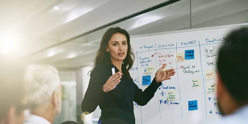 Project Manager Career Path From Entry Level to VP
