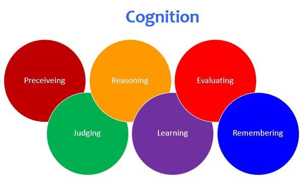 Cognitive ability: All the things you need to know