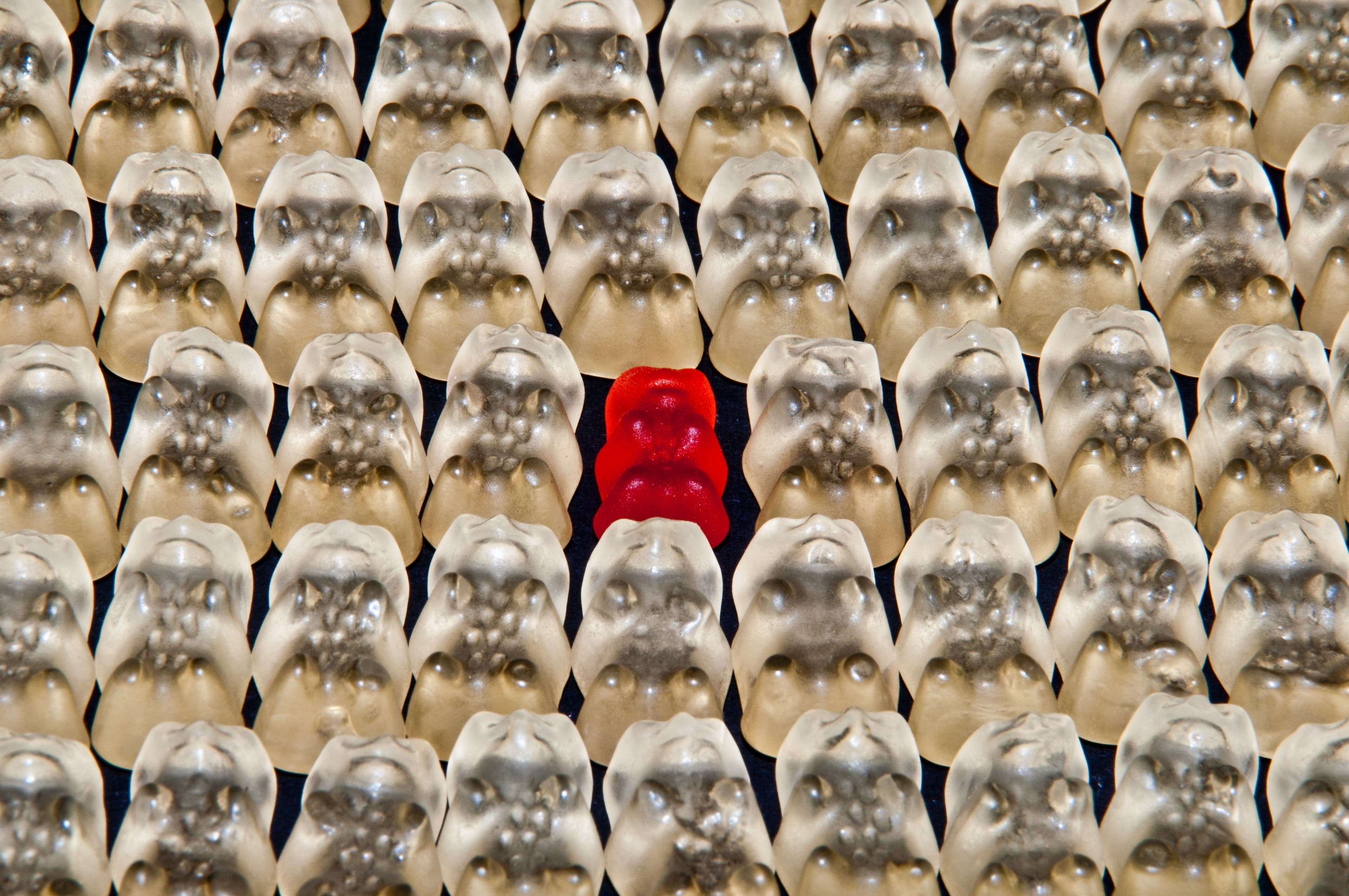 Is specialisation the key to making big contributions in society?
