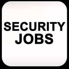 Just How Important is Job Security to Employees