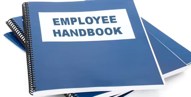 Employee Handbook: A Step By Step Guide To Preparing Your Staff Handbook