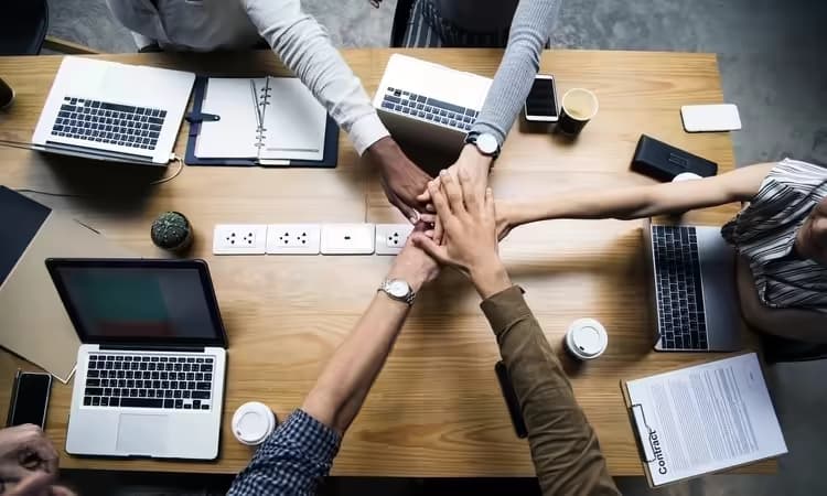 How to Build High-Performance Teams