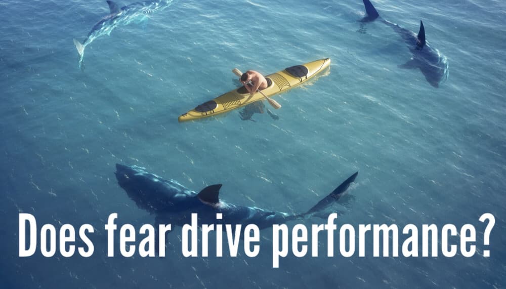 Can fear create a high-performance culture?