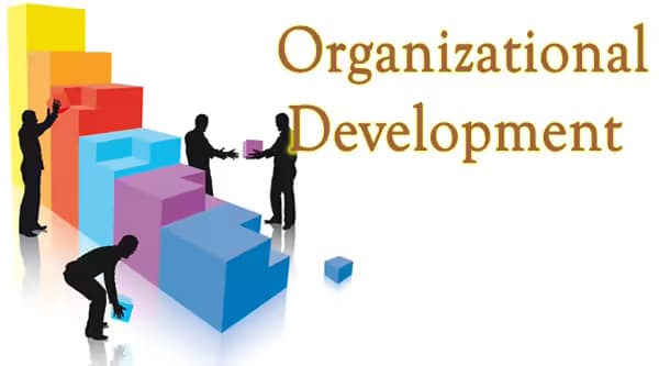 An Organization Development (OD) Approach To Consulting - Elevating Humanity
