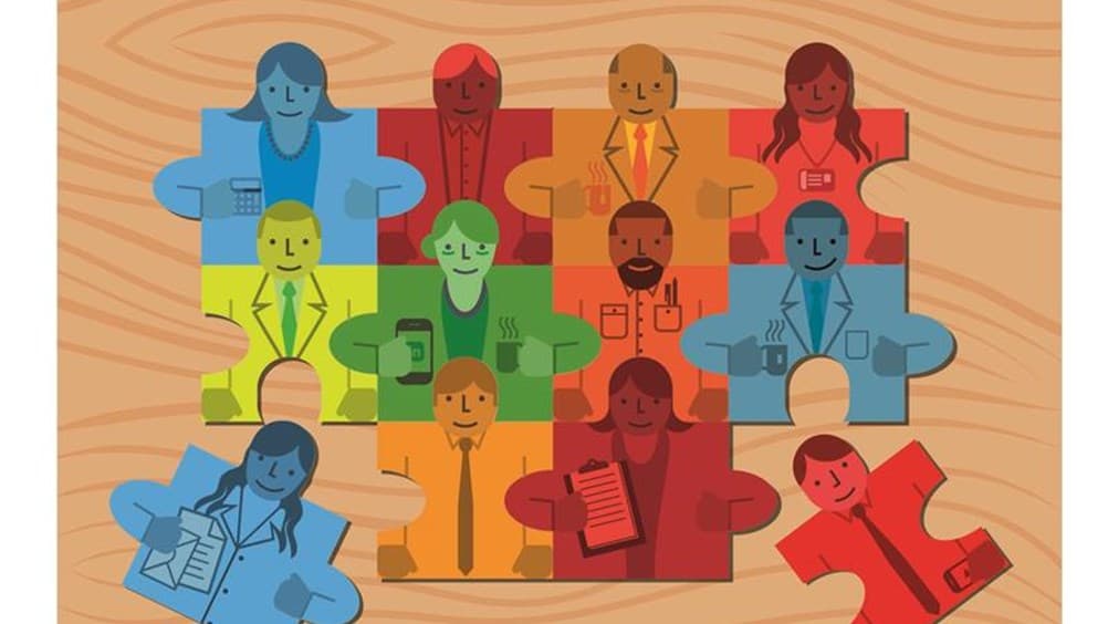 Culture Fit: What you need to know