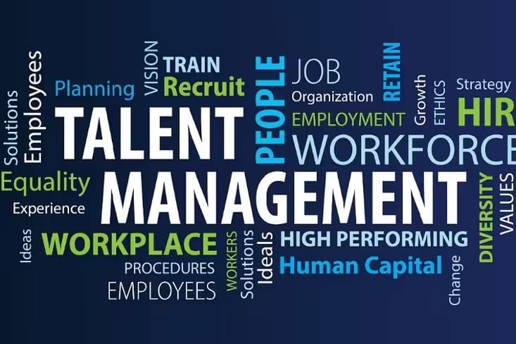 Talent Management: The Fundamentals of Talent Management