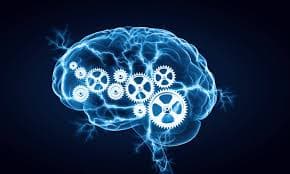 National Intelligence and country development