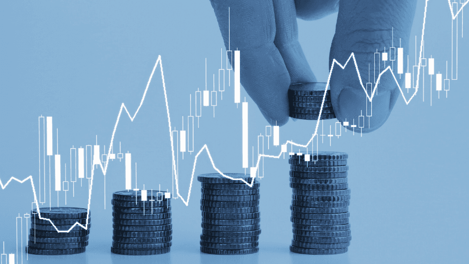 Job Description Of Finance Director: What Do You Need To Know?
