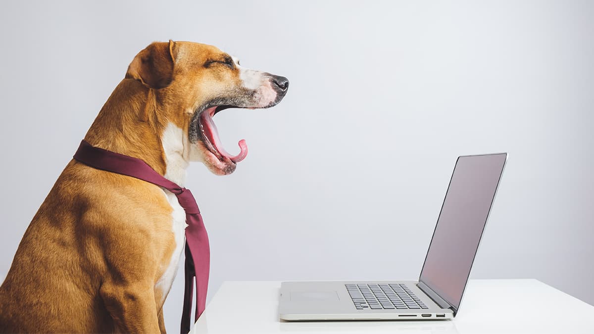 How to keep a remote team motivated