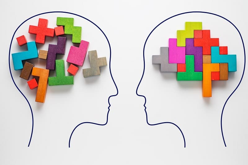 Fluid Intelligence versus Crystallized Intelligence