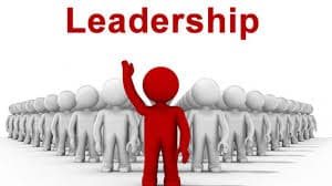 Stop Promoting People to Positions Beyond Their Capacity