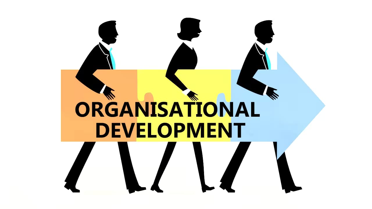 What is Organisational Development?