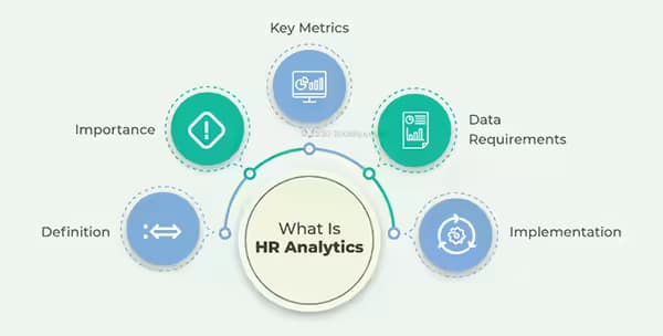 HR metrics: Everything you need to know