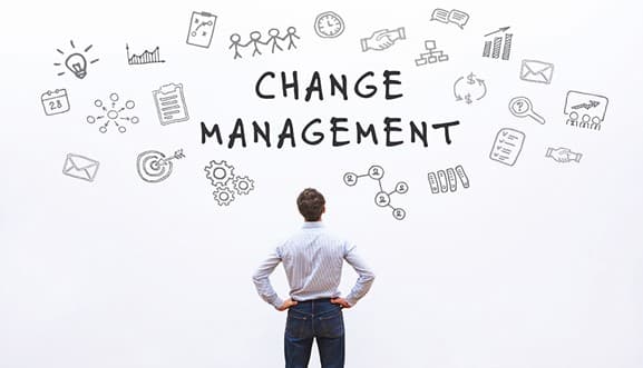 Change Management Plan: How To Build A Working Change Management Plan