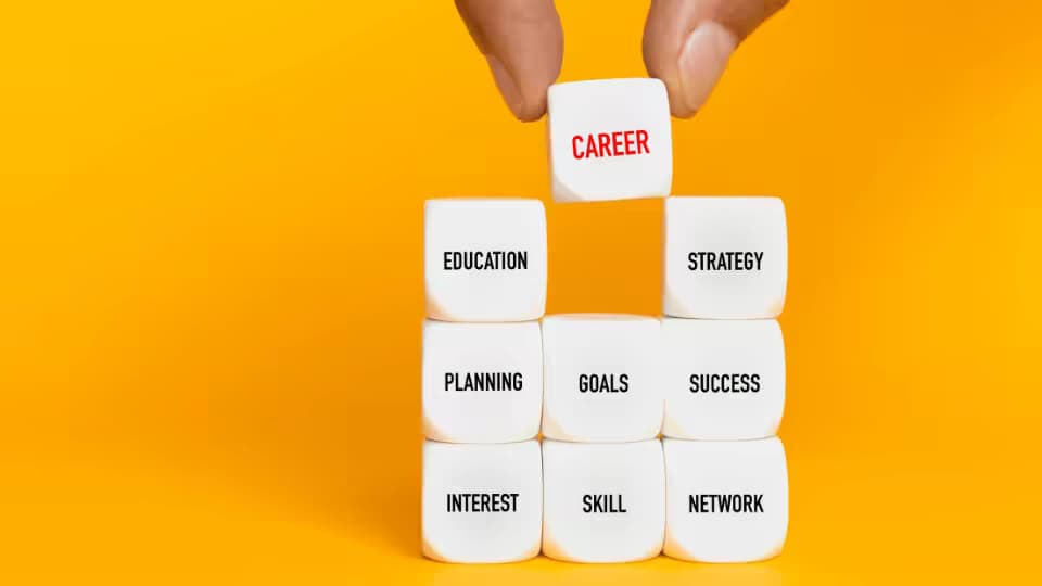 What Are The 7 Steps in The Career Planning Process?