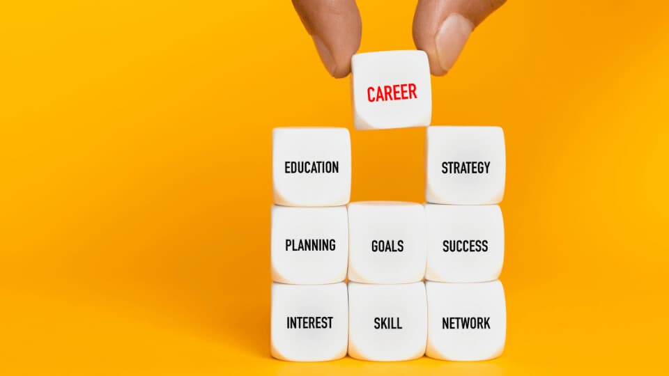 What Are The 7 Steps in The Career Planning Process?