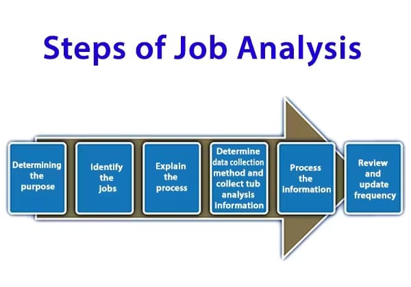 What Are The Six Steps Of Job Analysis And Examples?