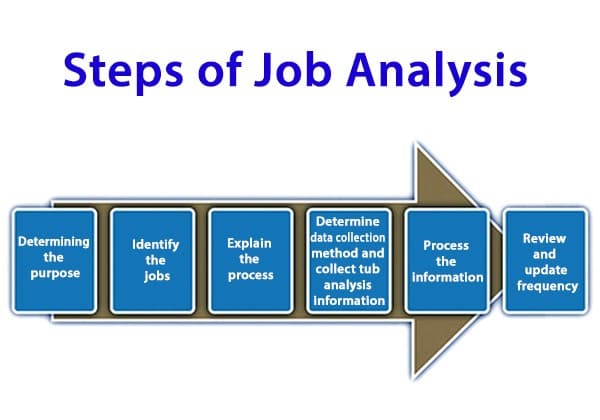 What Are The Six Steps Of Job Analysis And Examples?