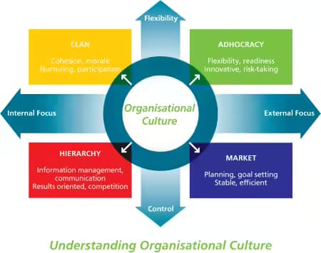 The Importance Of Knowing Your Organizations Culture