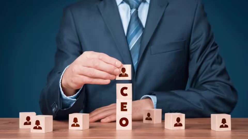 30 Scientific Facts about CEO Pay that you can not afford to Ignore