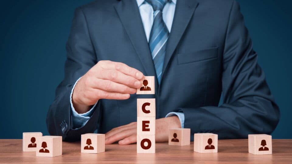 30 Scientific Facts about CEO Pay that you can not afford to Ignore