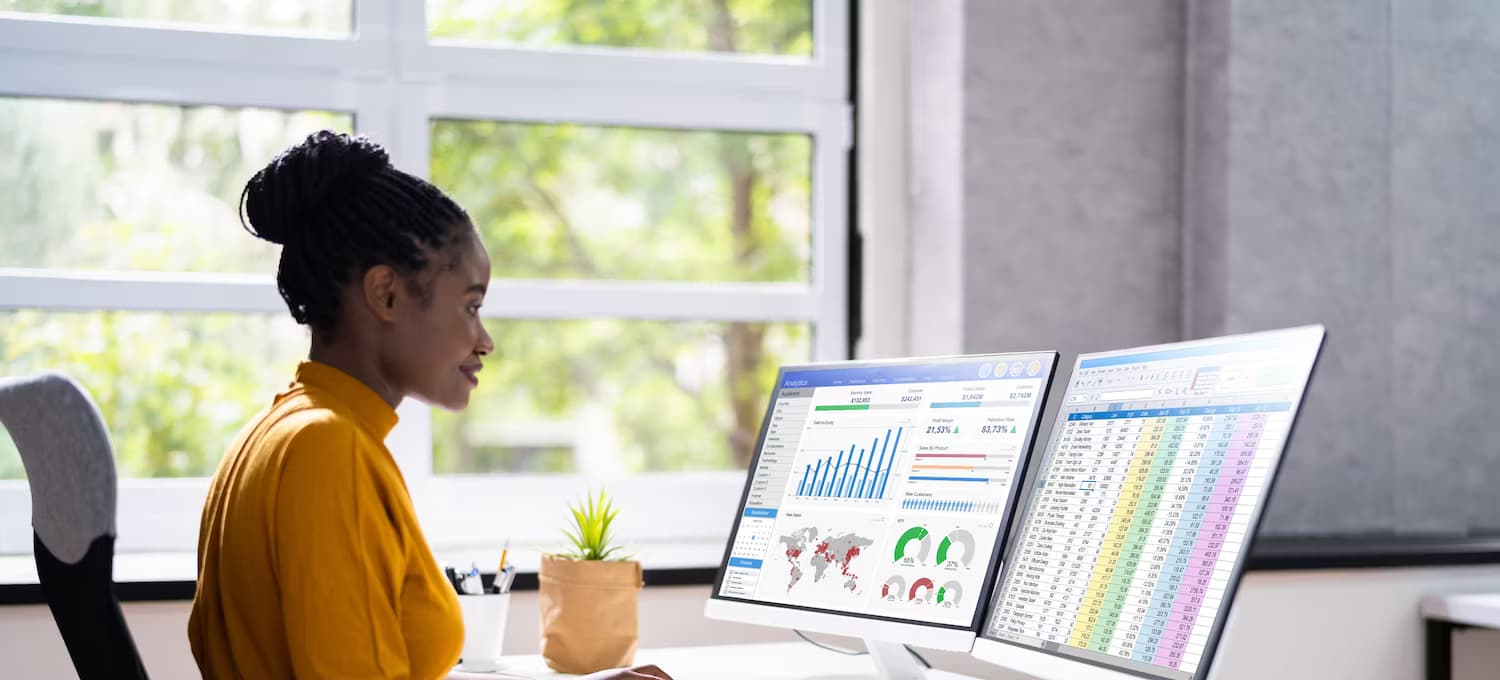 Data Analyst Job-What exactly do they do?