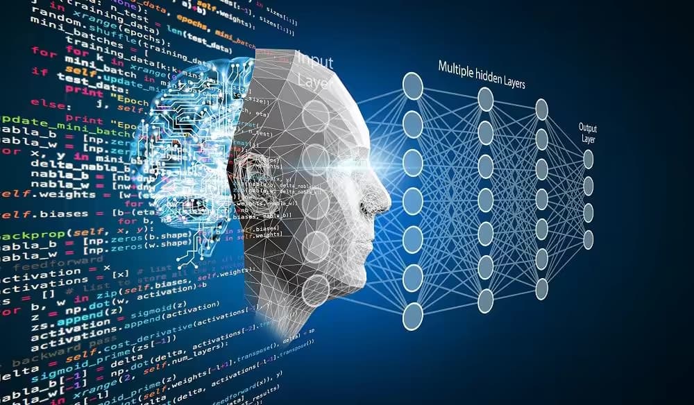 The Development Process: How Deep Learning Companies Turn Data into Actionable AI Models