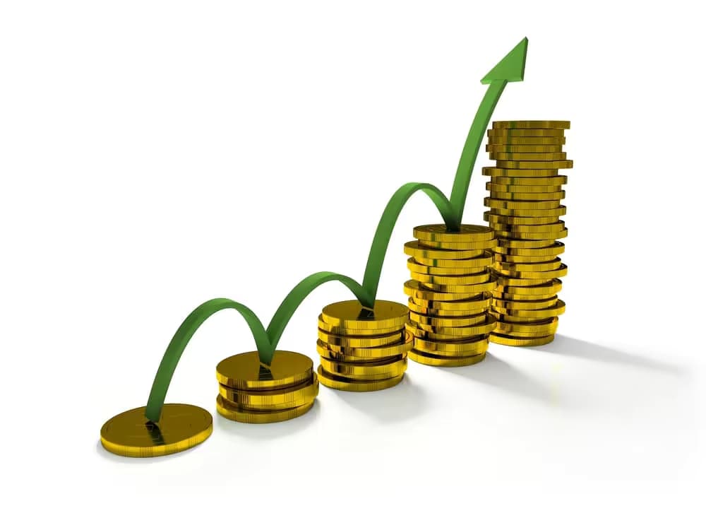 Everything To Know About Building A Healthy Profit