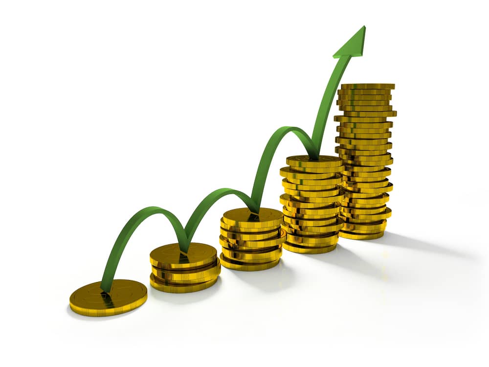 Everything To Know About Building A Healthy Profit