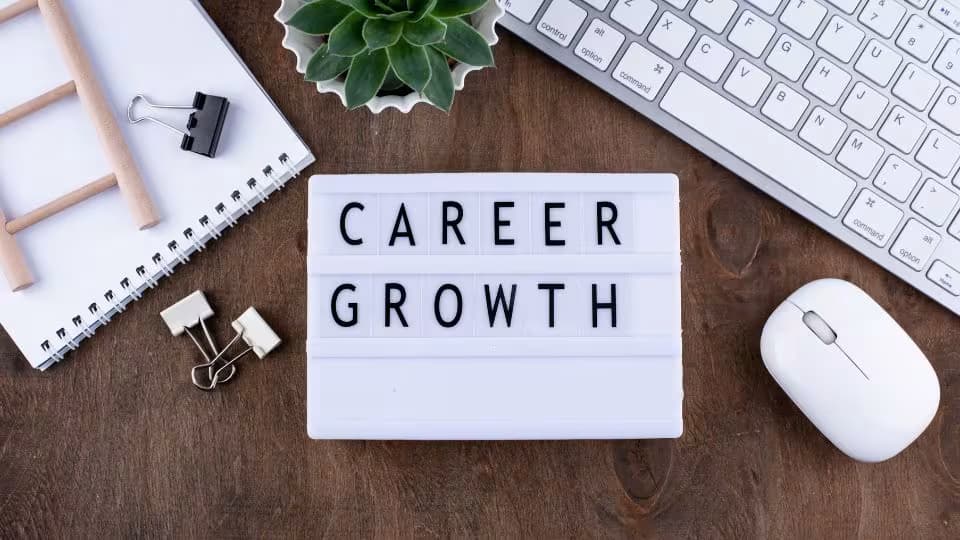Career Leveling: A Comprehensive Guide for Professional Development