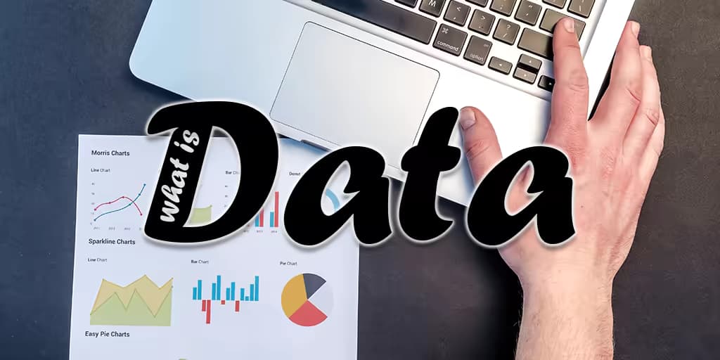 Mastering the Digital Age: Advanced Strategies for Data Collection and Utilization