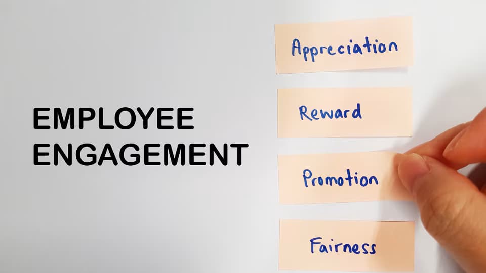 Employee Engagement: A Comprehensive Guide to Transformative Tools