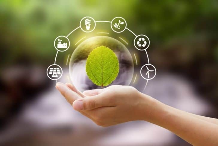 6 Green Flags of a Sustainable Company