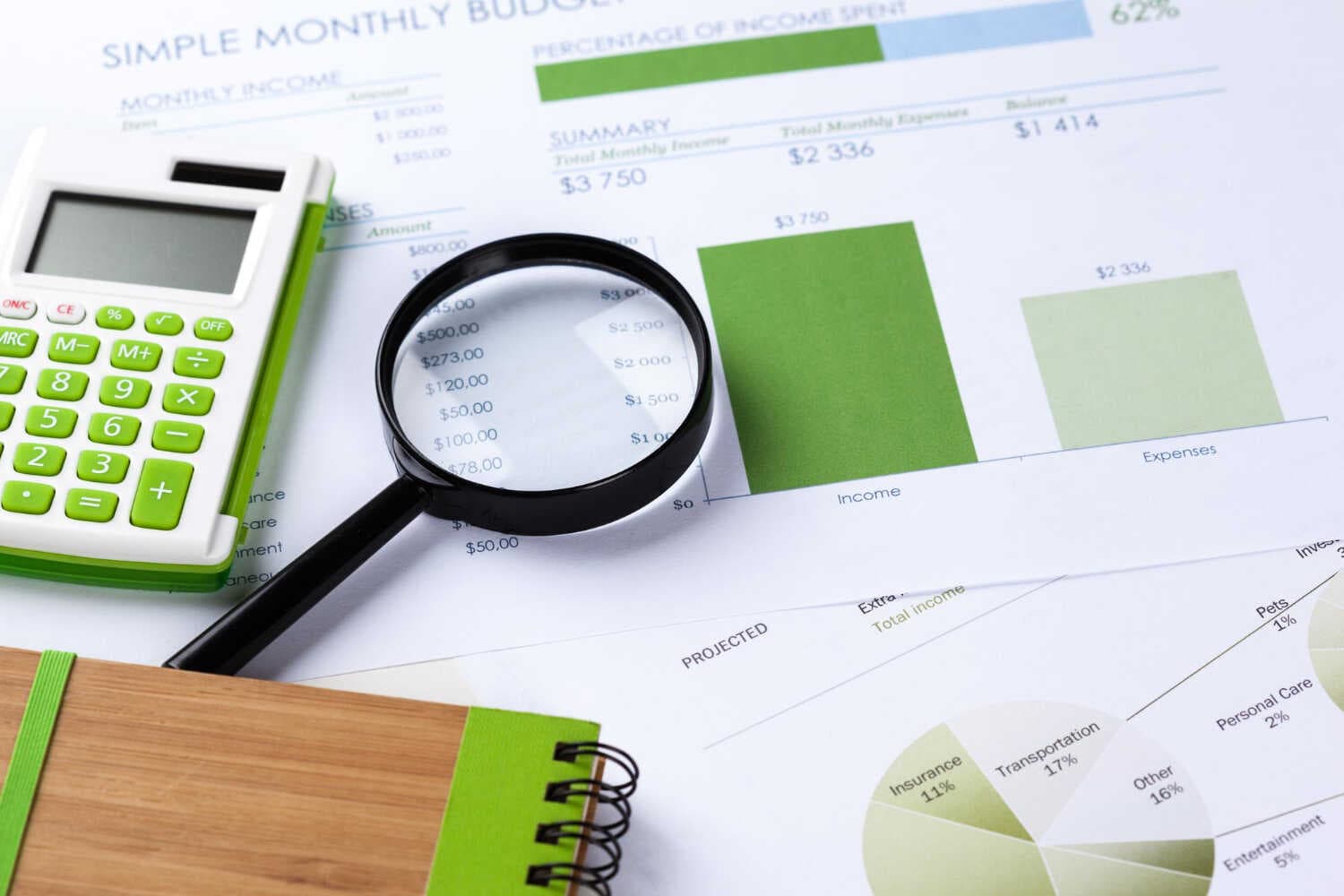 Job Description for Forensic Accountant