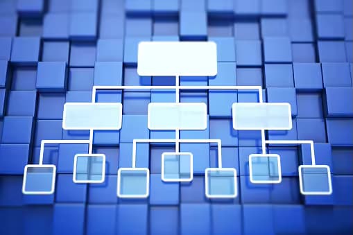 Functional Organizational Structure: What Every Leader Should Know
