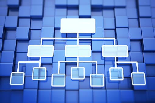 Functional Organizational Structure: What Every Leader Should Know