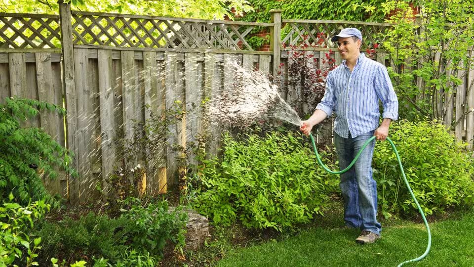 Navigating Garden Leave: A Comprehensive Guide