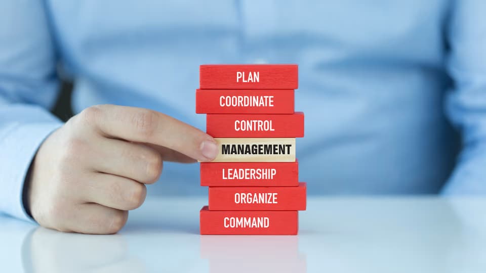 Managing Up: Proven Strategies for Career Advancement