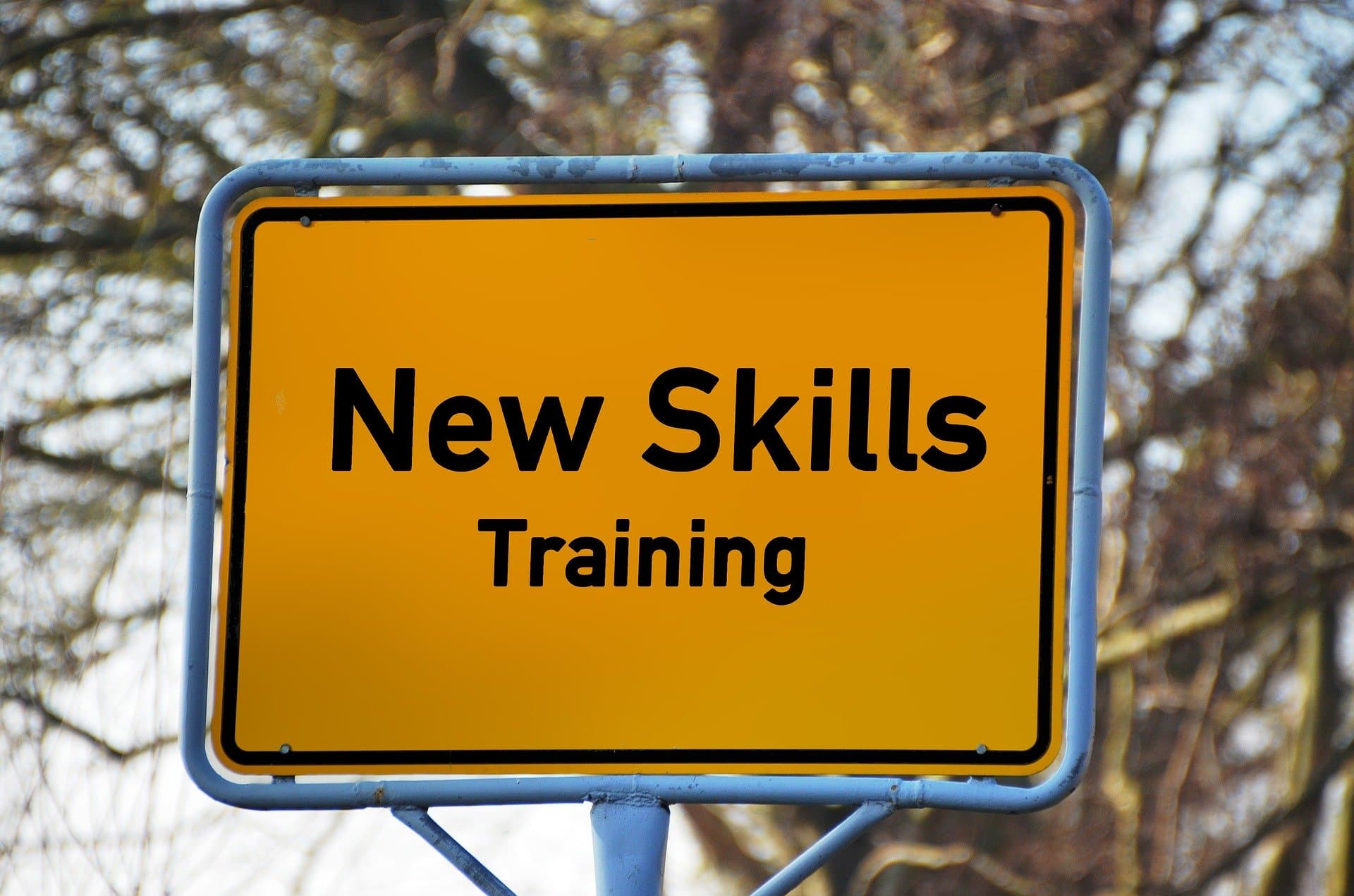 How to Attract Africa Diaspora Skills Back