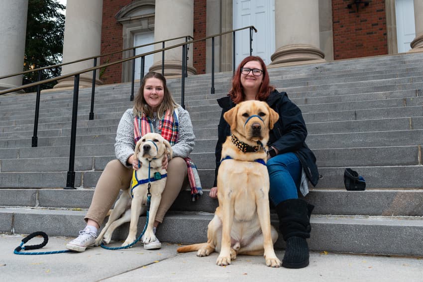 10 Miniature Dog Breeds You Can Take to College With You