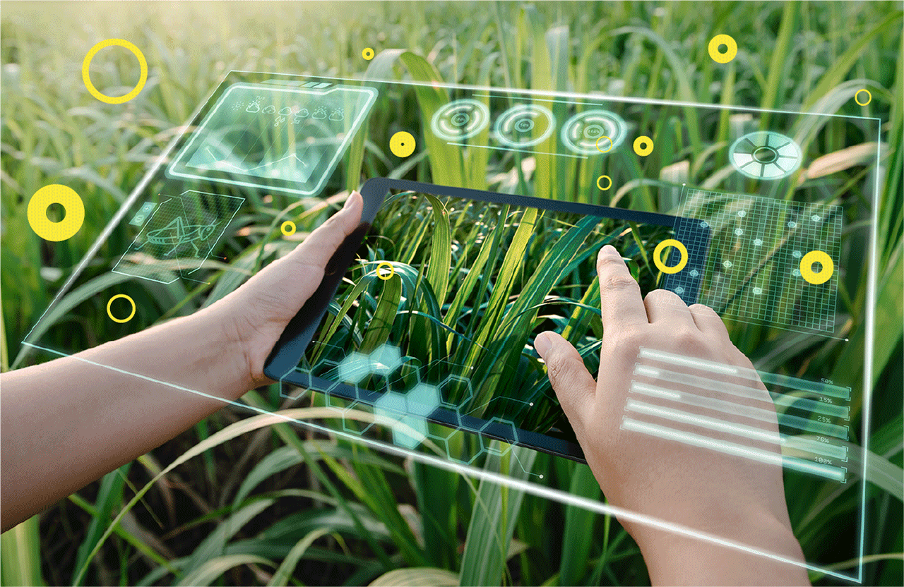 The Rise of Agtech Startups: Pioneering Future Farming
