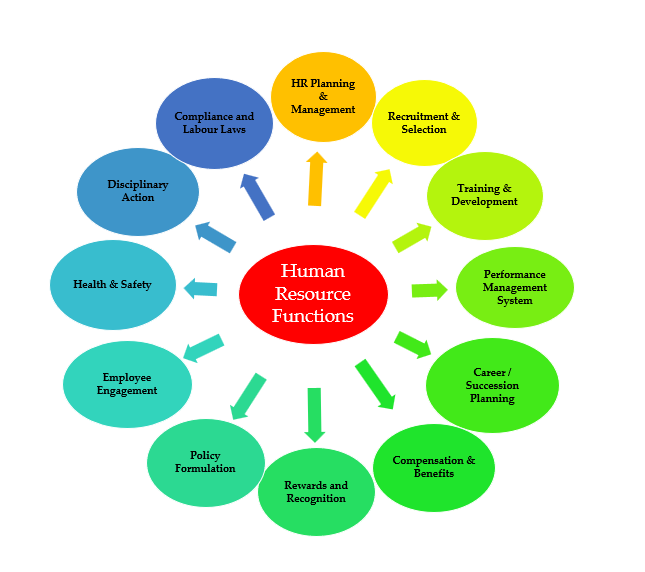 Functions of Human Resources: How the department works