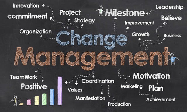 What is the importance of Change Management in Organisations