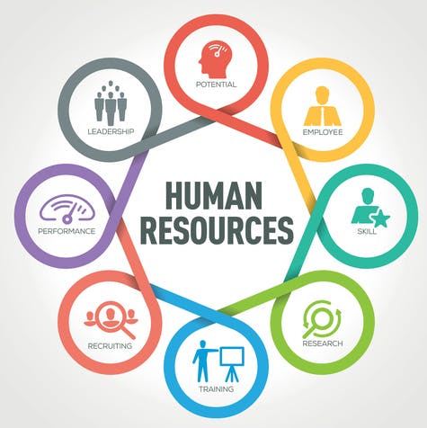 The Competencies that are important for HR Professionals