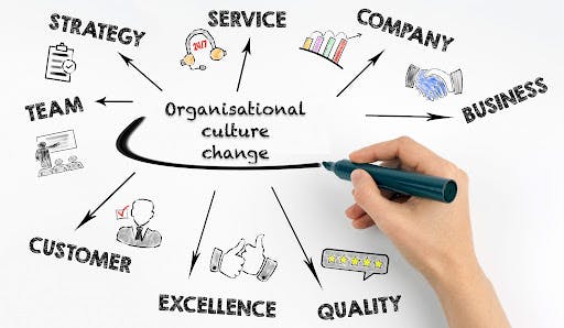 Organisational culture and why organisational culture change fails
