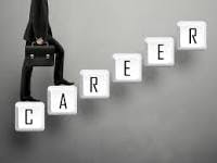 Guidelines for making the right career choice